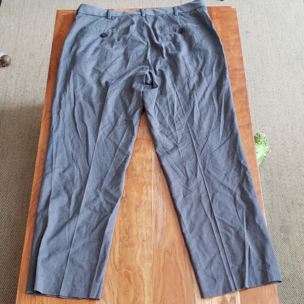 Dress pants